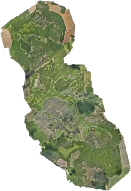 Ortomosaico de uma propriedade rural alongada com diferentes coberturas do solo